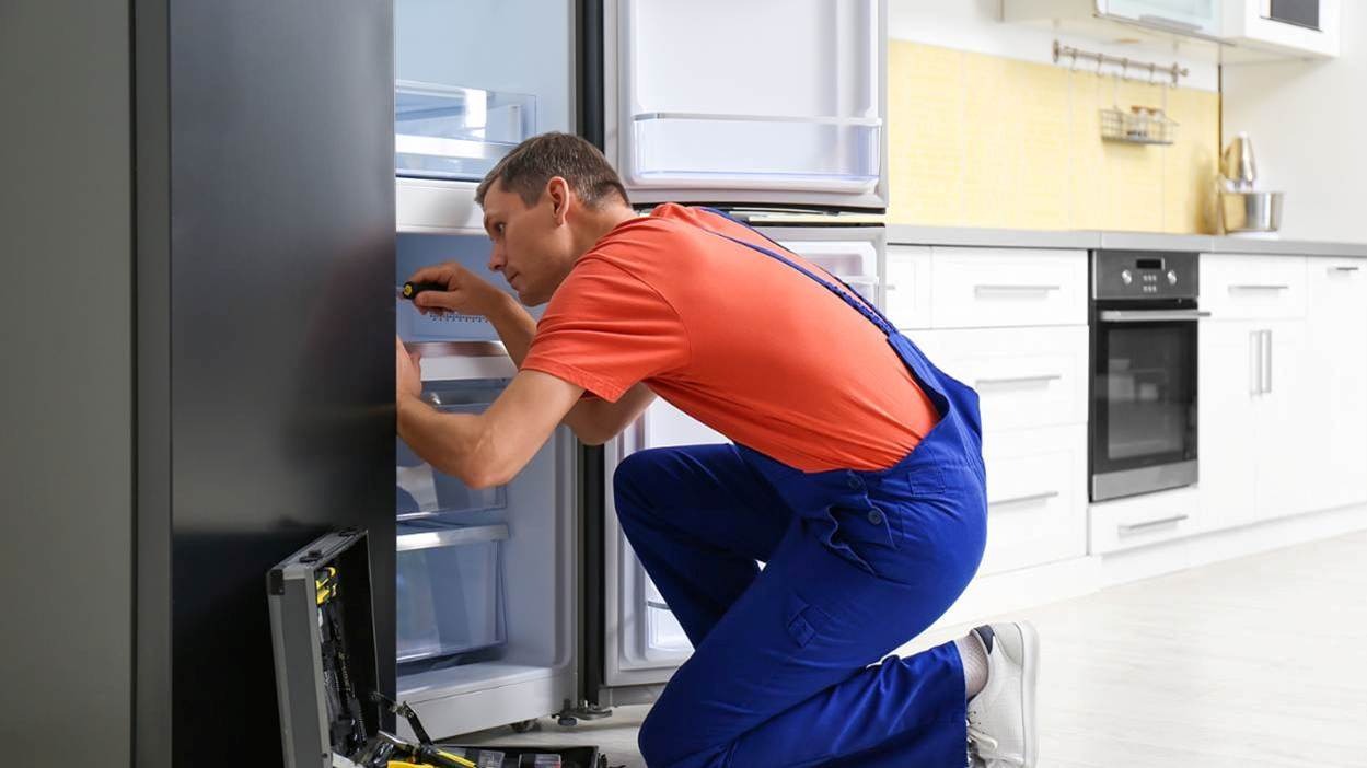 Fridge and freezer servicing