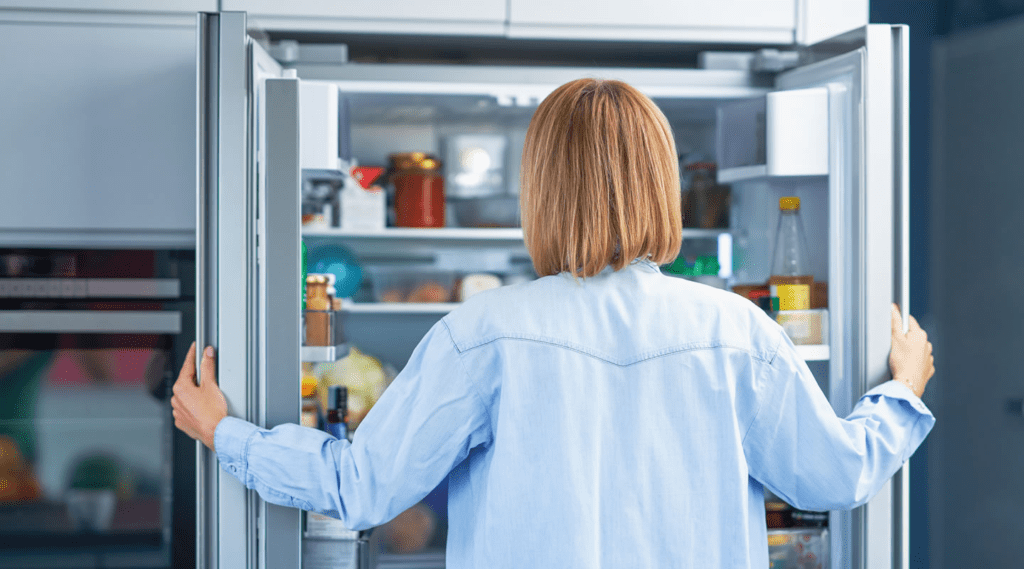 Cleaning fridge drain and seals